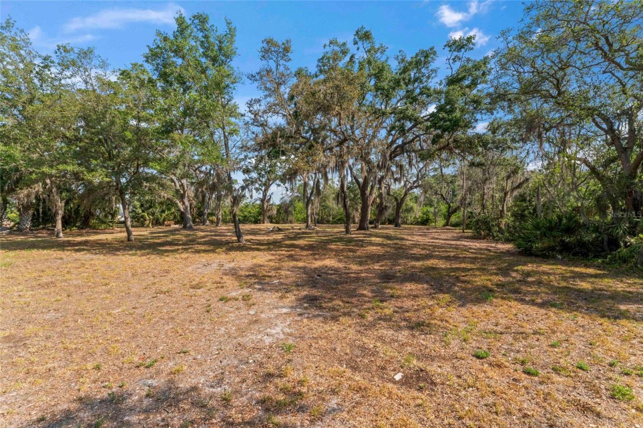 13025 Memorial Highway, Tampa, FL 33635 Photo