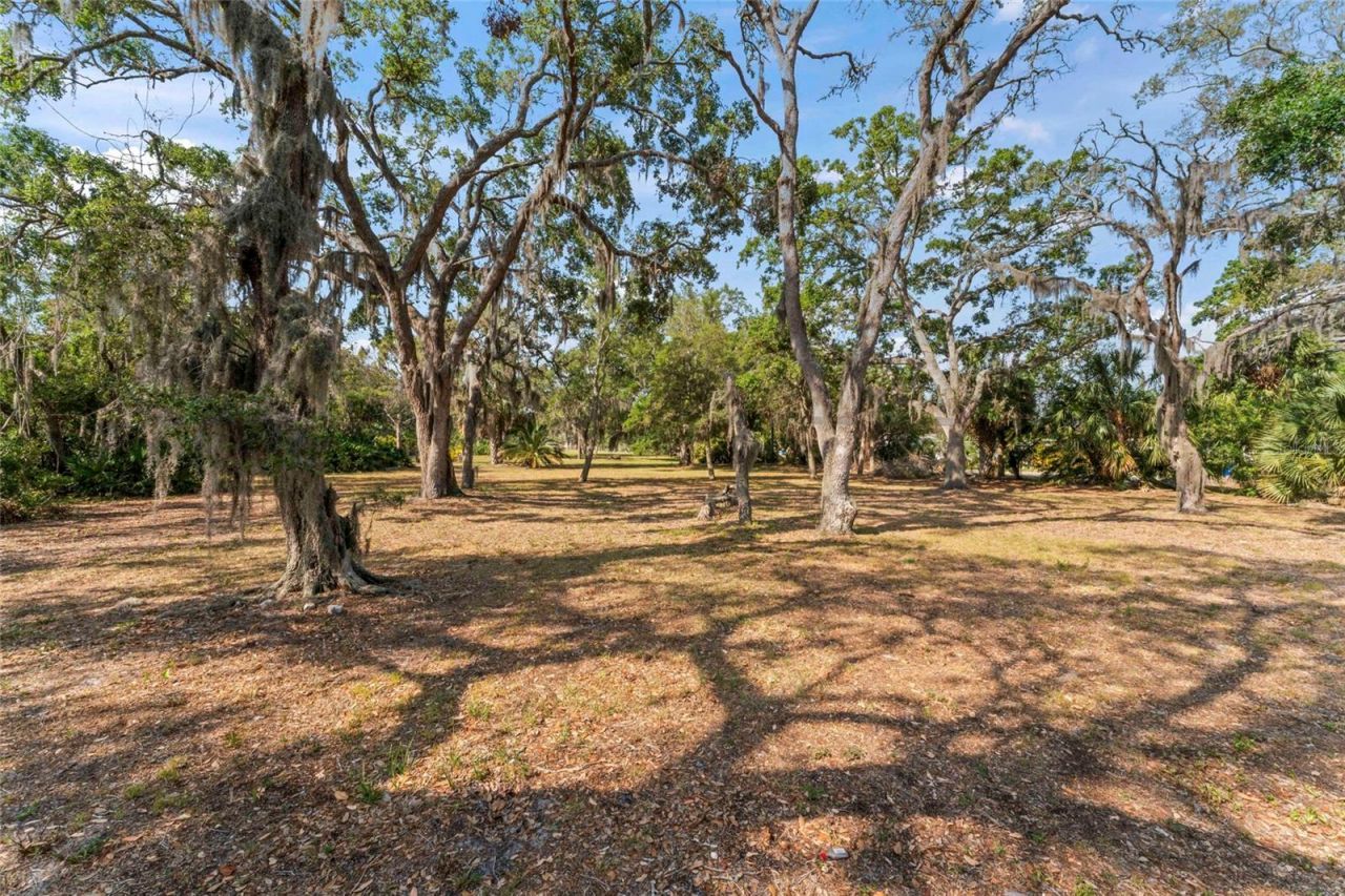 13025 Memorial Highway, Tampa, FL 33635 Photo