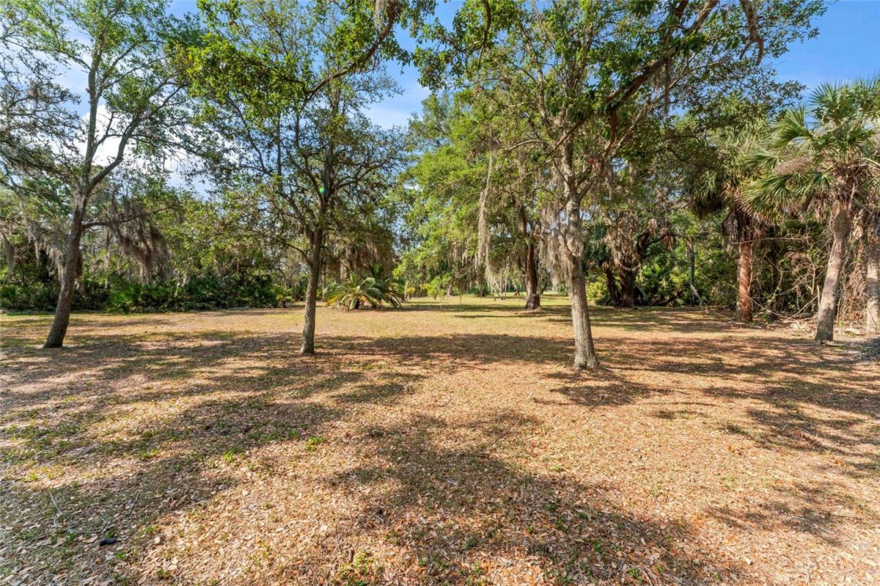 13025 Memorial Highway, Tampa, FL 33635 Photo