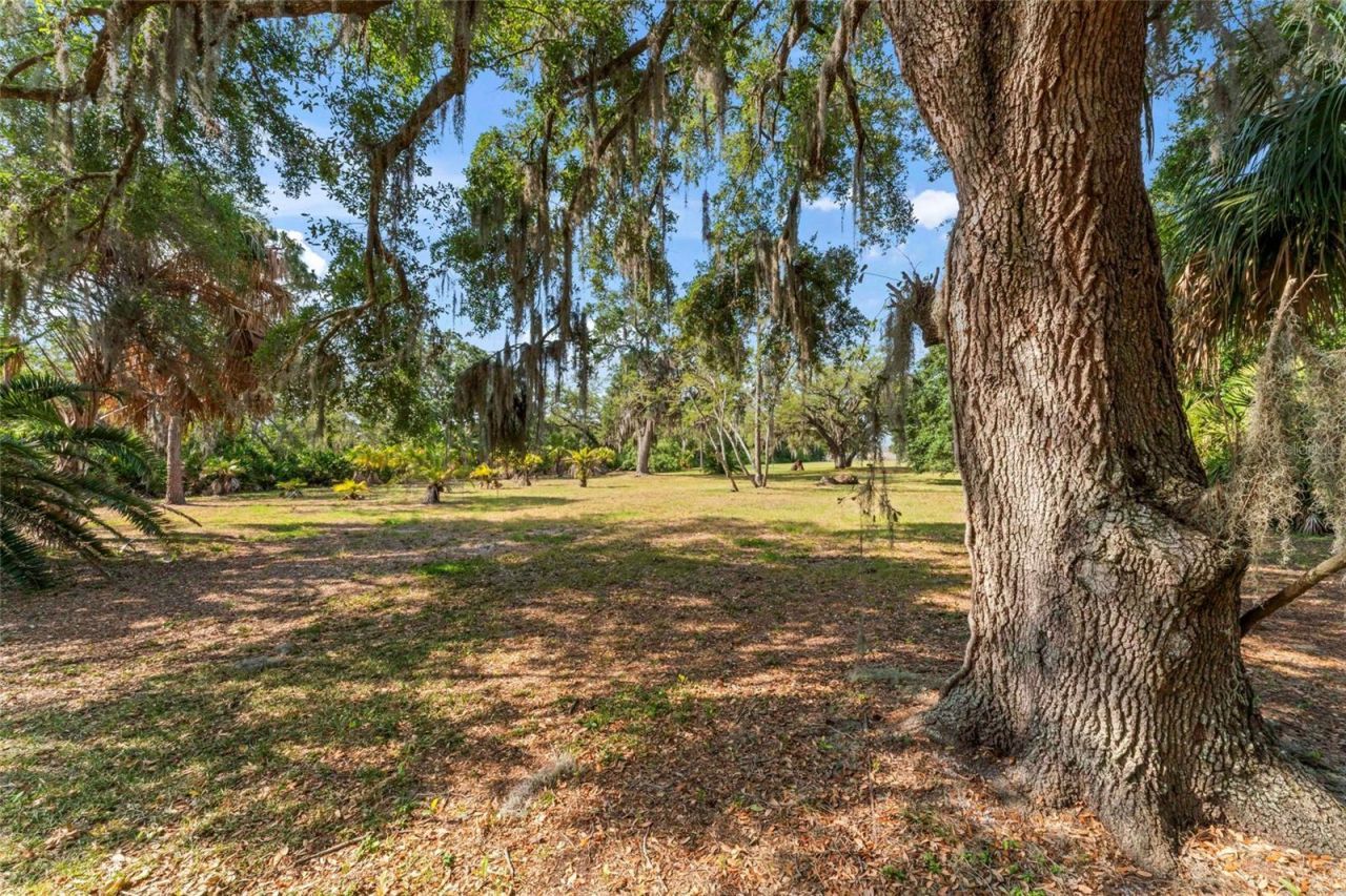 13025 Memorial Highway, Tampa, FL 33635 Photo