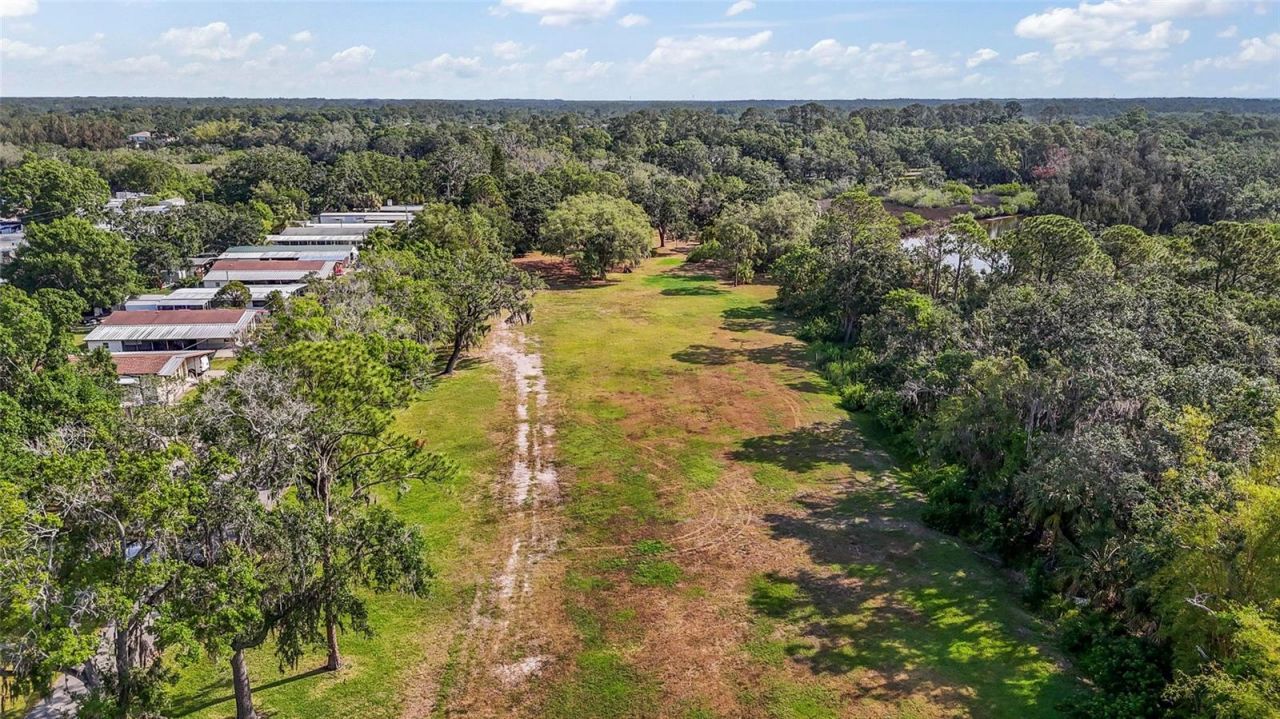 13025 Memorial Highway, Tampa, FL 33635 Photo