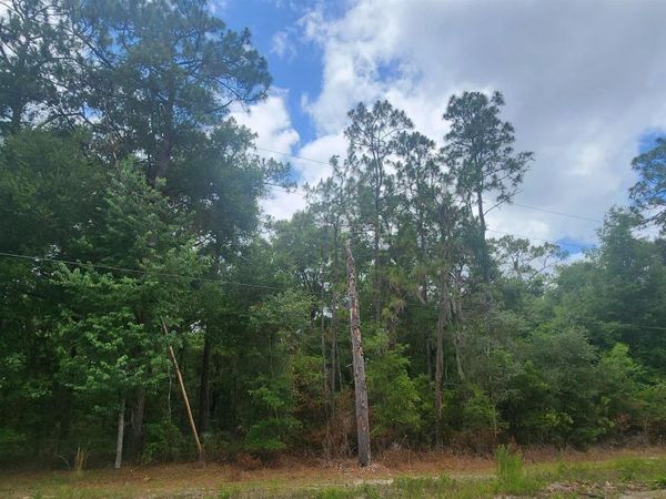 415 Pheasant Rd, Satsuma, FL 32189