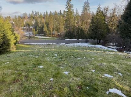 501 Forest Meadows Dr, Murphys, CA 95247 Photo