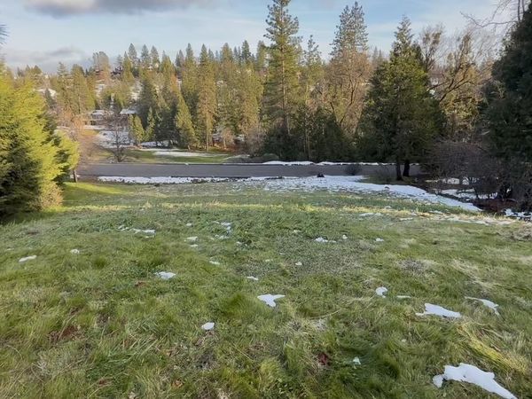 501 Forest Meadows Dr, Murphys, CA 95247