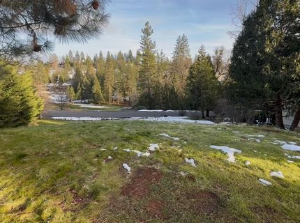 501 Forest Meadows Dr, Murphys, CA 95247 Photo
