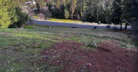 501 Forest Meadows Dr, Murphys, CA 95247 Photo