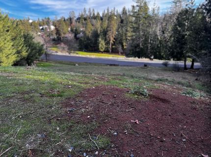 501 Forest Meadows Dr, Murphys, CA 95247 Photo