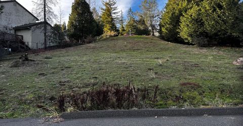 501 Forest Meadows Dr, Murphys, CA 95247 Photo
