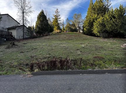 501 Forest Meadows Dr, Murphys, CA 95247 Photo