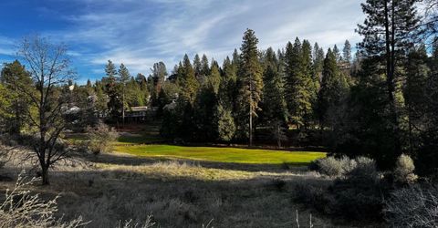 501 Forest Meadows Dr, Murphys, CA 95247 Photo