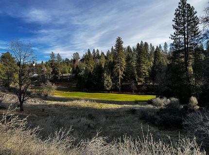 501 Forest Meadows Dr, Murphys, CA 95247 Photo