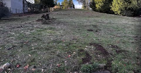 501 Forest Meadows Dr, Murphys, CA 95247 Photo