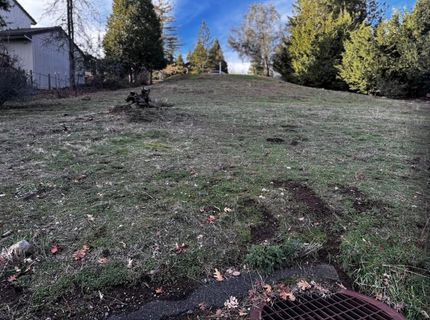 501 Forest Meadows Dr, Murphys, CA 95247 Photo