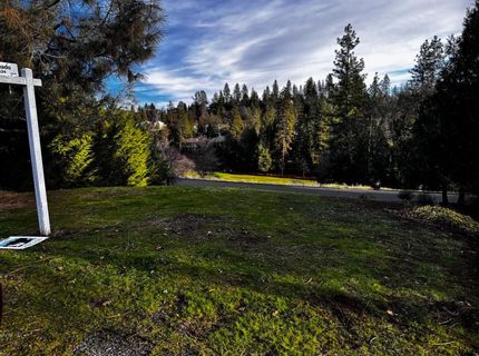 501 Forest Meadows Dr, Murphys, CA 95247 Photo