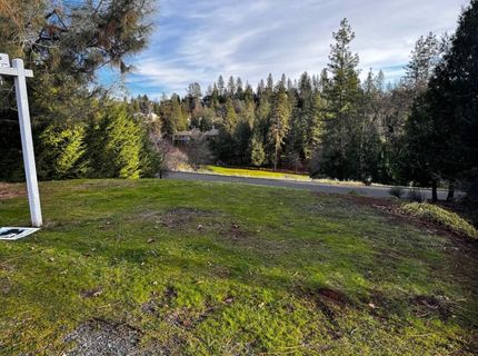 501 Forest Meadows Dr, Murphys, CA 95247 Photo