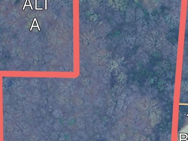 13705 Byhalia Road, Byhalia, MS 38611