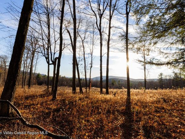 0 Mitchell Street, Hillsdale, NY 12529