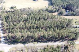 0 Columbia Hwy photo 4