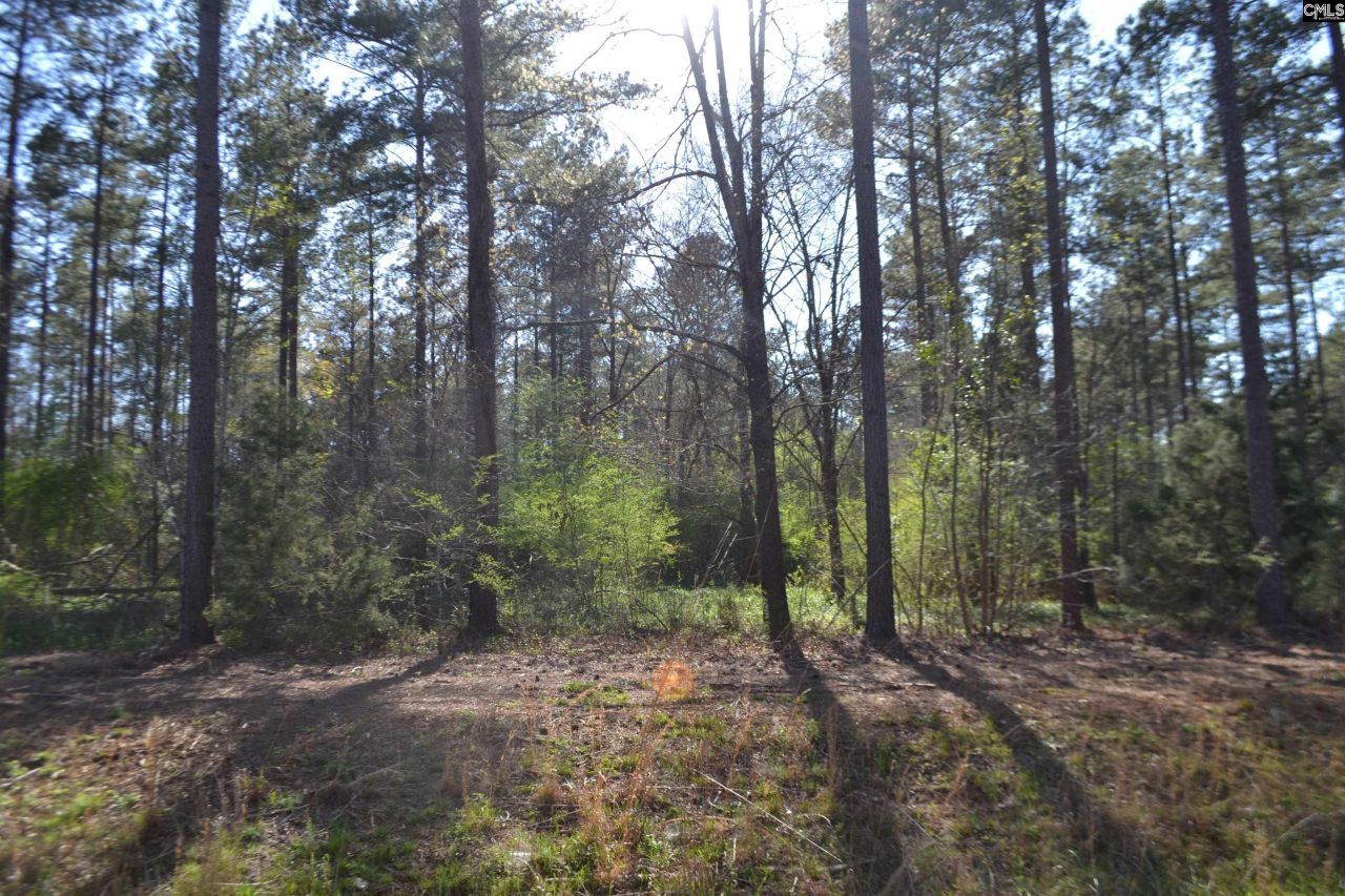 0 Columbia Hwy Photo 5