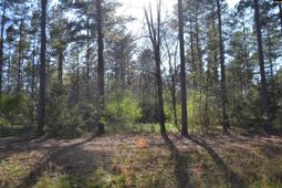 0 Columbia Hwy photo 4