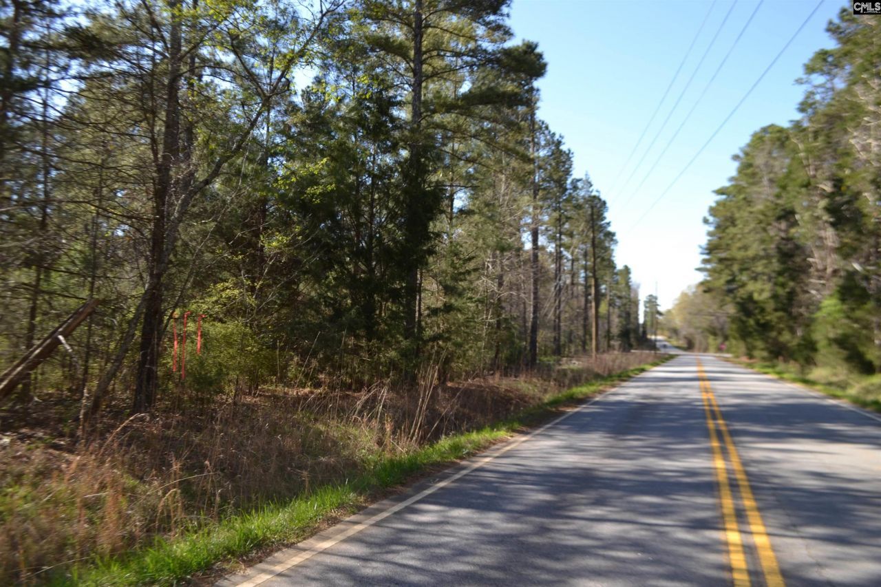 0 Columbia Hwy Photo 6