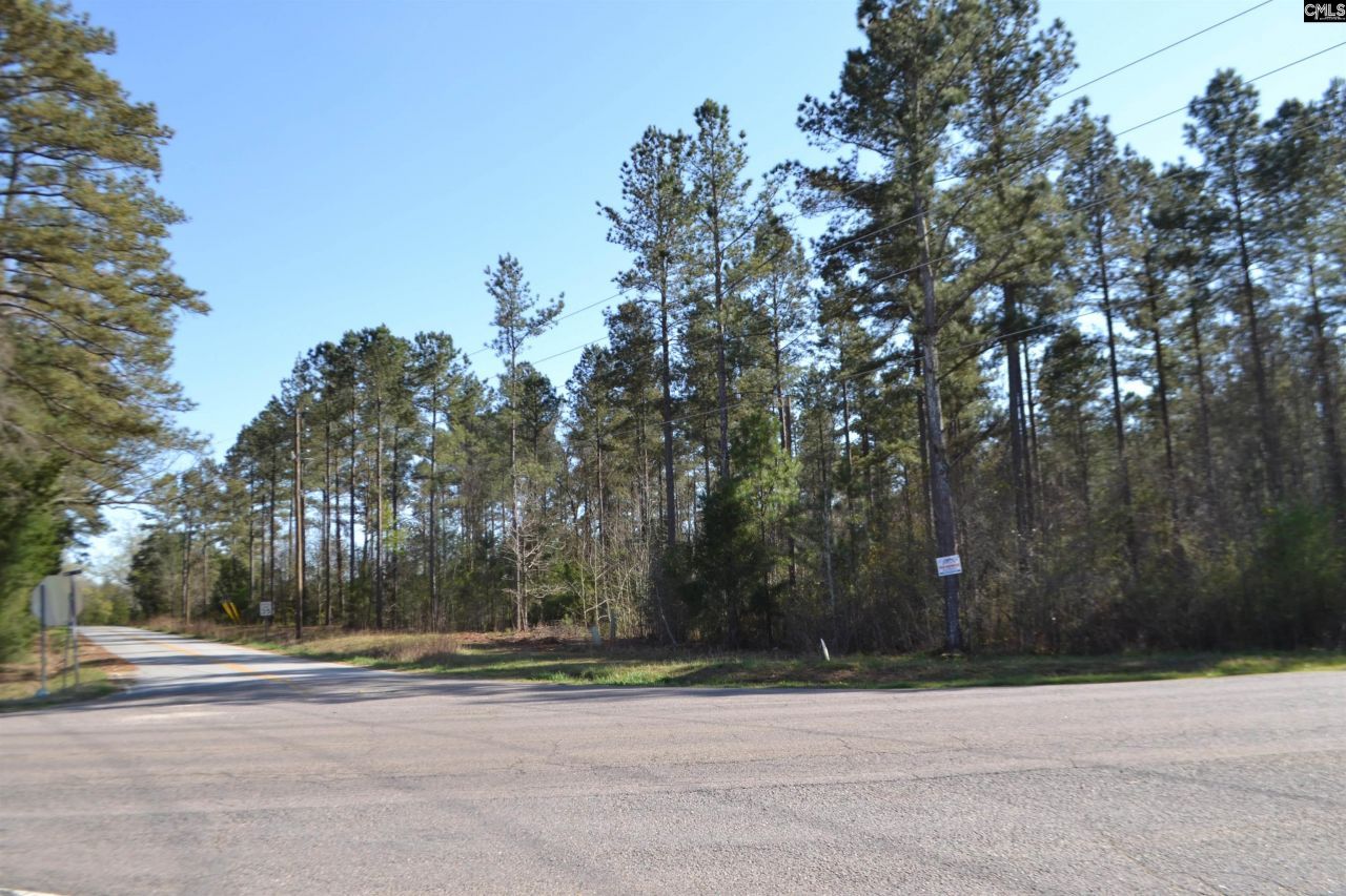 0 Columbia Hwy Photo 7