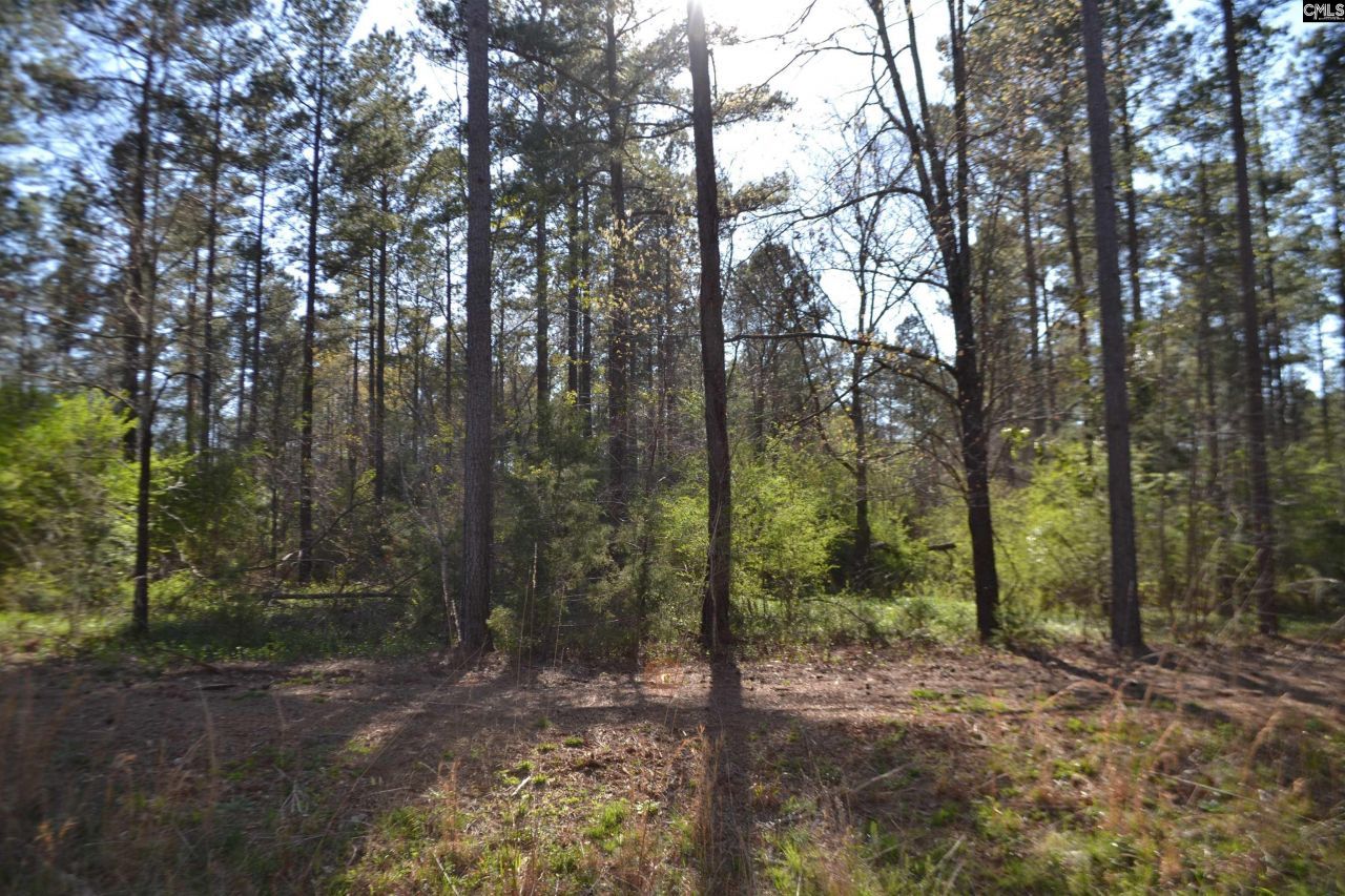 0 Columbia Hwy Photo 9