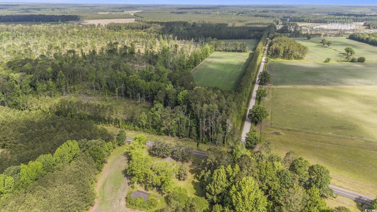 1895 Bucksville Dr. Photo 16