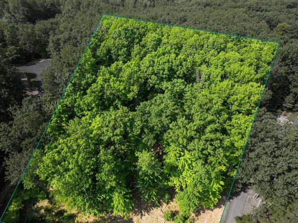 4139 Cranberry Lane, Williamsburg, MI 00000