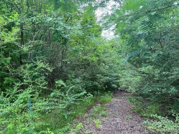 0 Rock Castle Lane, Vance, AL 35490