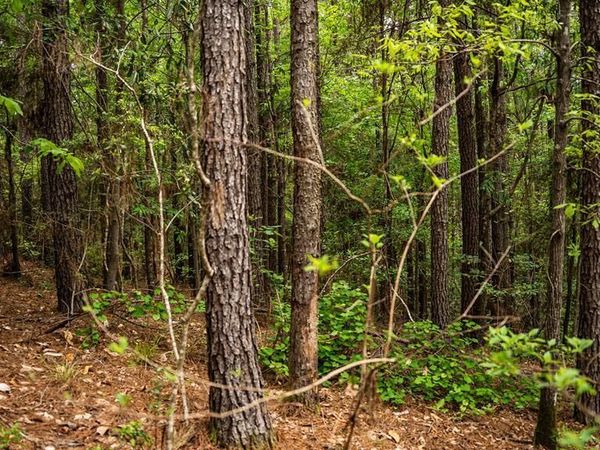 2683 33 Highway, Crosby, MS 39633