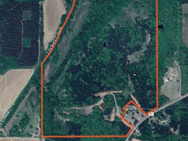 CR 51, Myrtle, MS 38650