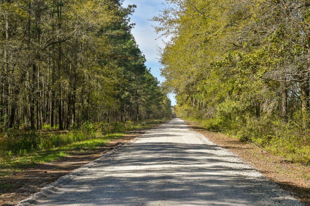 4855 Retriever Road Photo 65