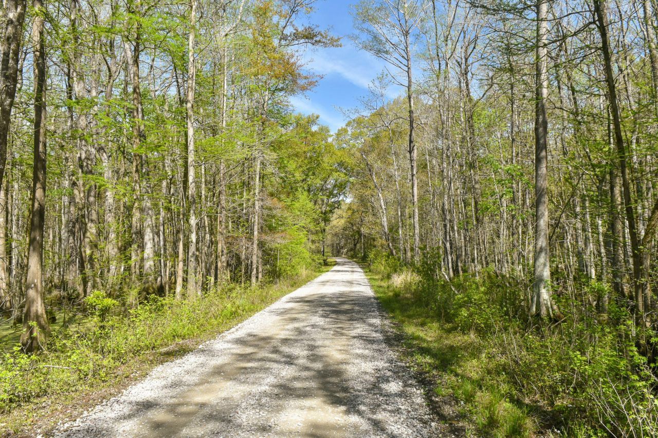 4855 Retriever Road Photo 66