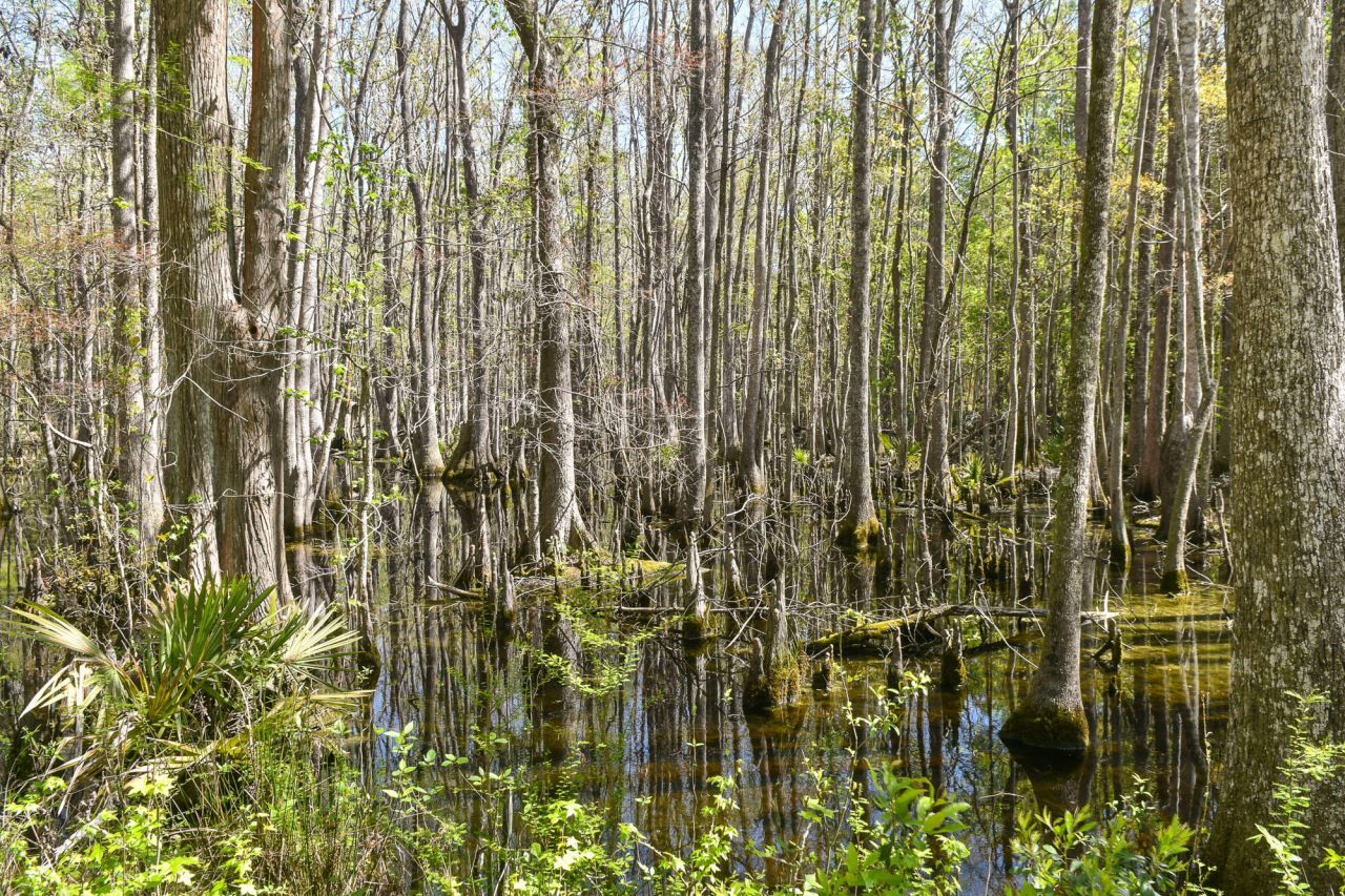 4855 Retriever Road Photo 67