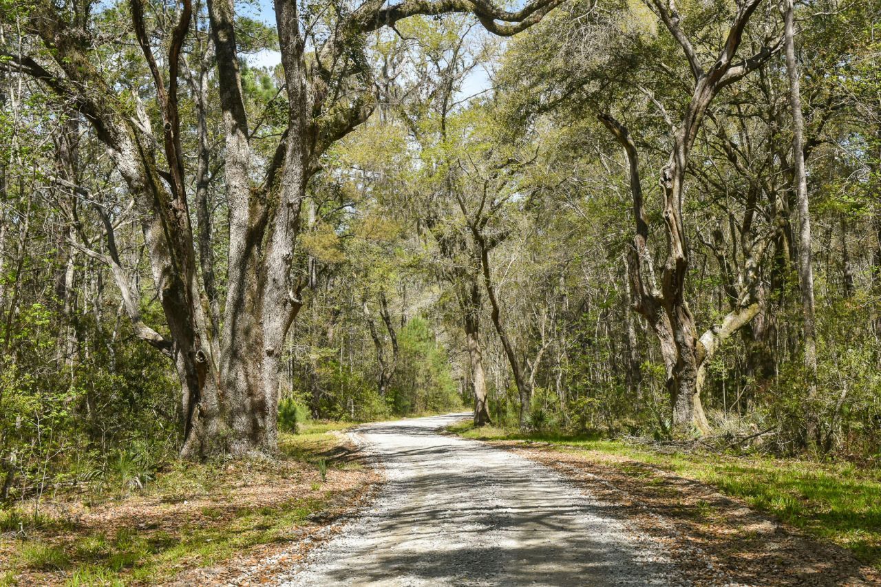 4855 Retriever Road Photo 68