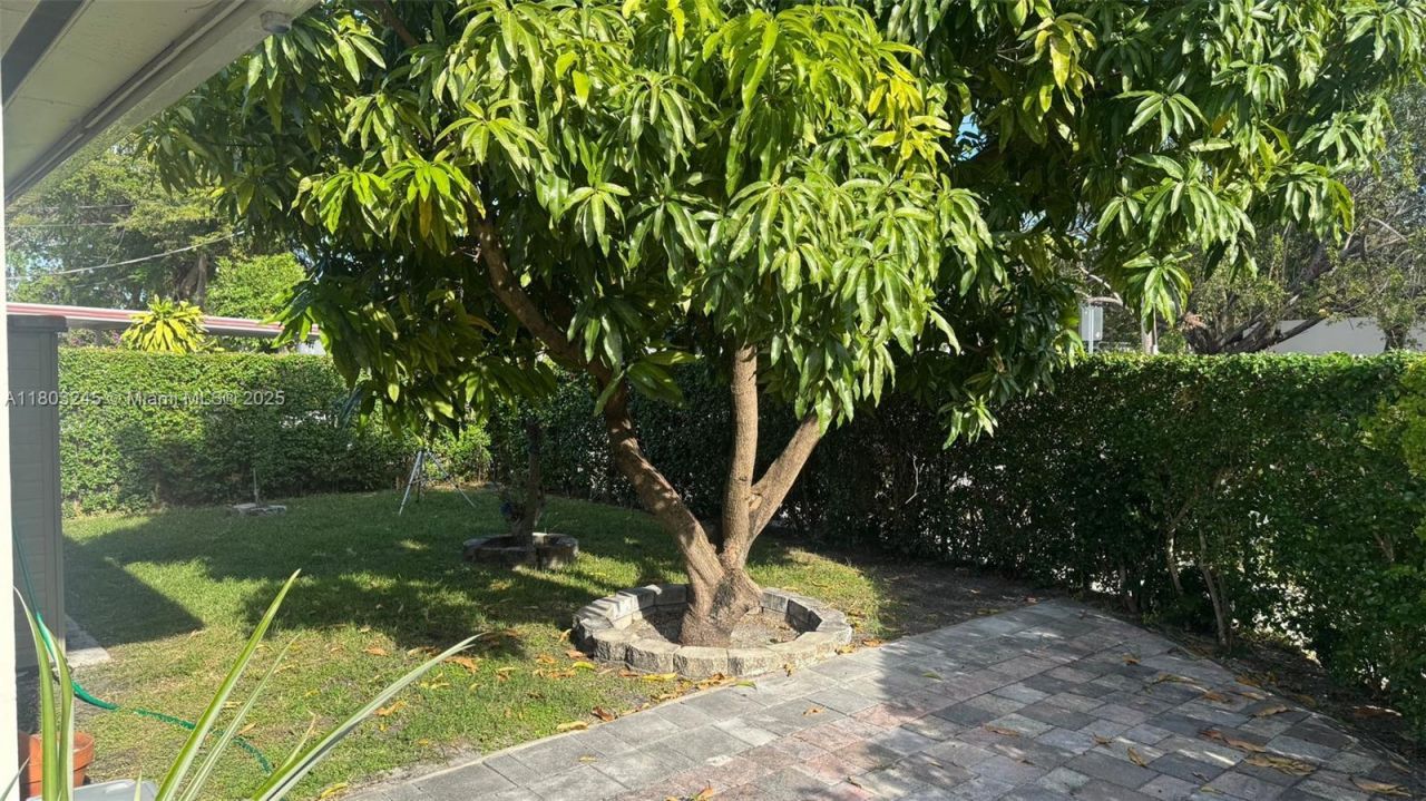 111 SW 24th Ave, Miami, FL 33135 Photo