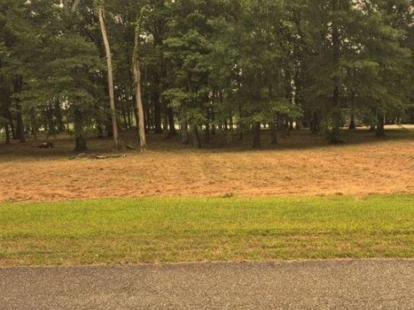 Lot 87 Cypress Point Drive, Akron, AL 35441