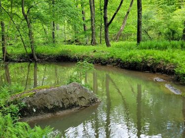 TBD Maple Run, Fairmont, WV 26554