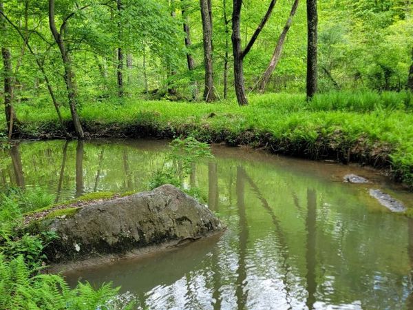 TBD Maple Run, Fairmont, WV 26554