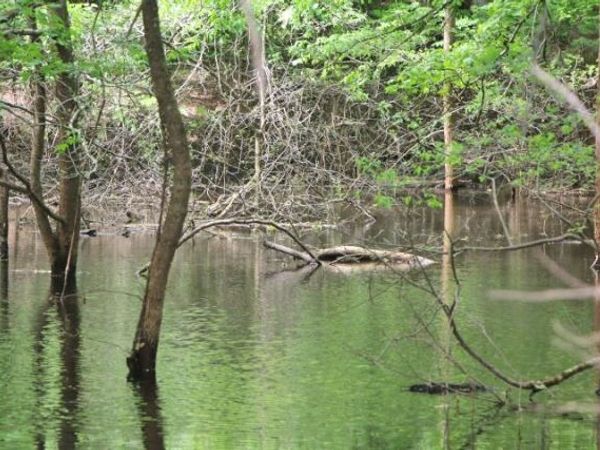 355 Cherokee Road, Lucas, KY 42141