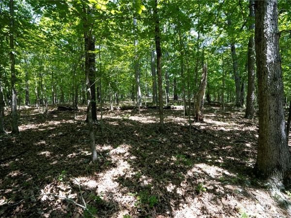 1103 Brown Bear Trail, Kansas, OK 74347