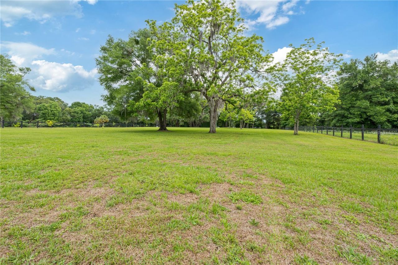 4091 NE 185th Avenue, Williston, FL 32696 Photo