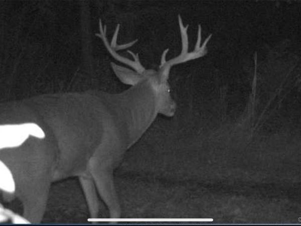 5077 N 384 Road, Stuart, OK 74570