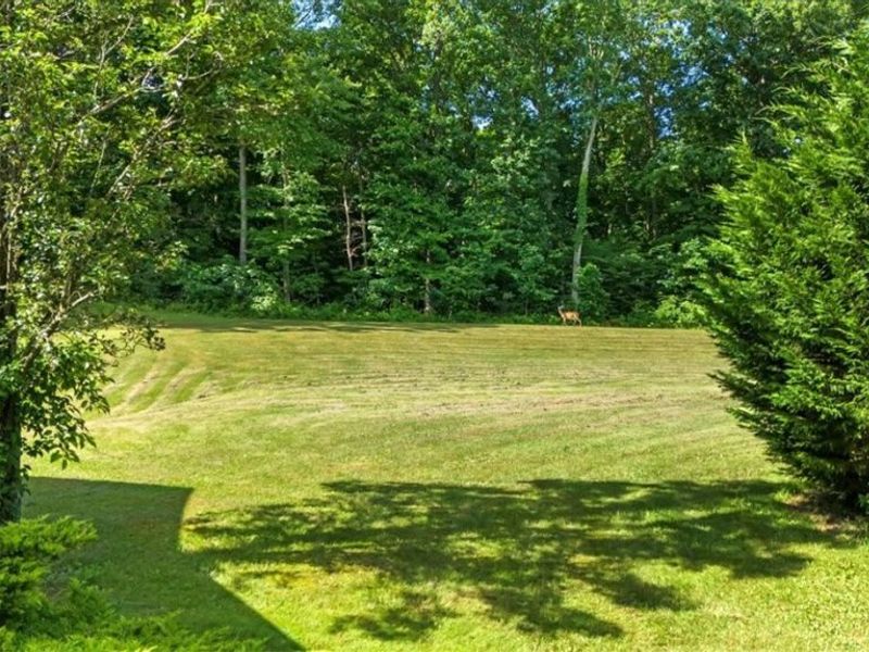 477 Burnt Hill Road, Williamstown, WV 26187 Photo 43