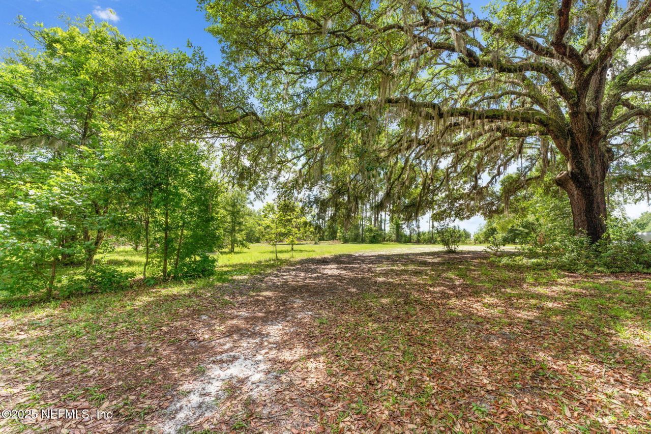 2995 Thunder Road, Middleburg, FL 32068 Photo