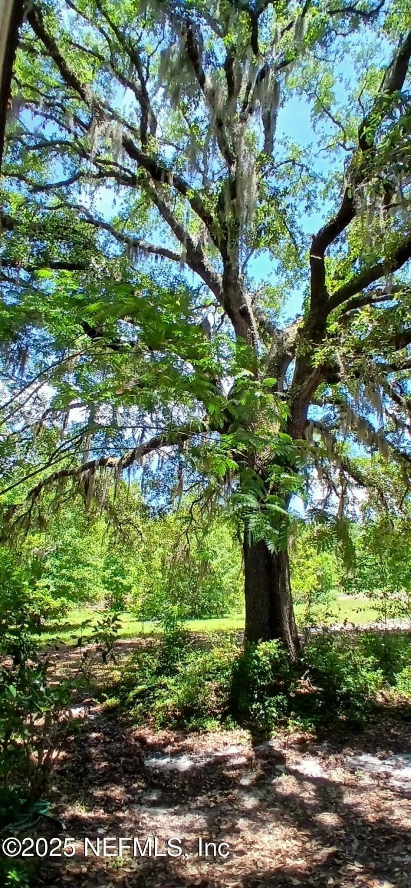 2995 Thunder Road, Middleburg, FL 32068 Photo