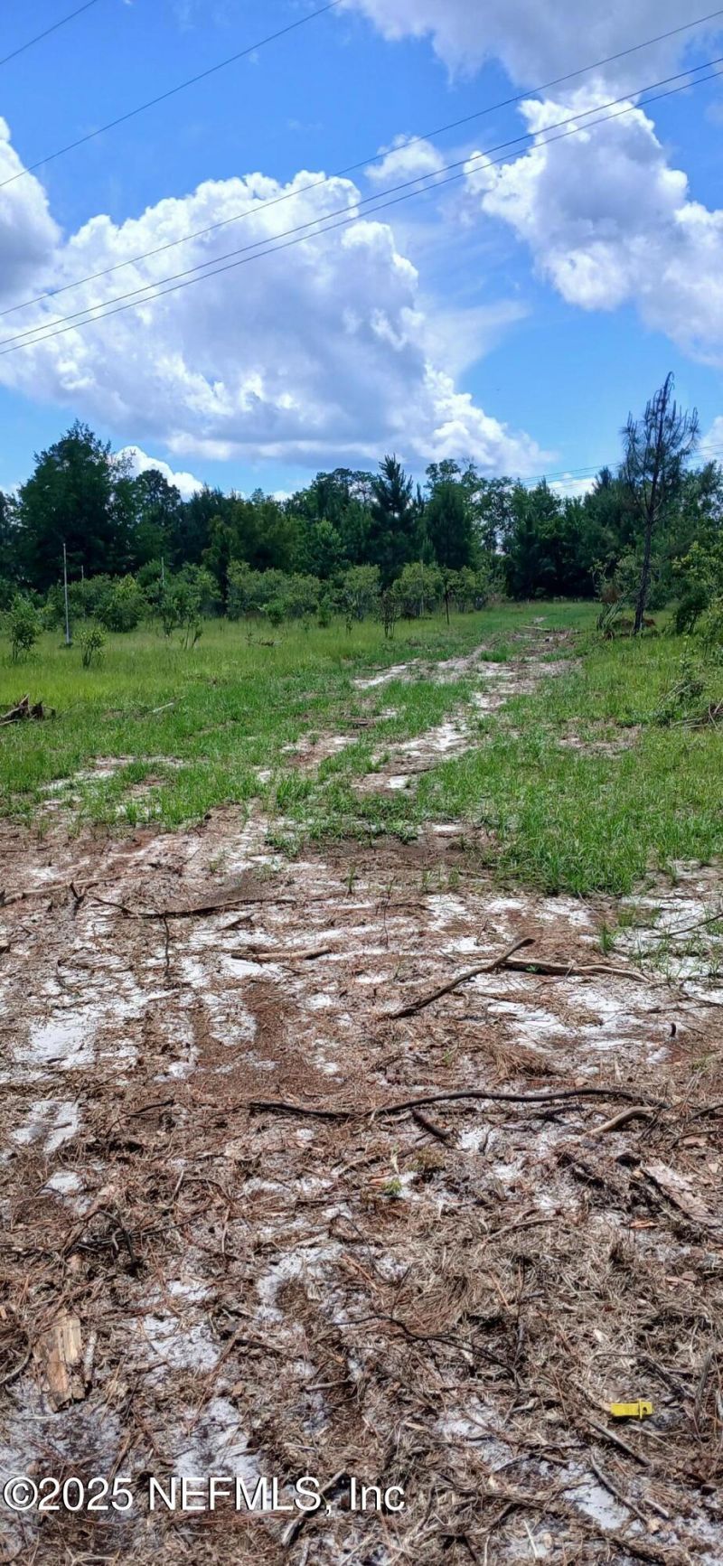 2995 Thunder Road, Middleburg, FL 32068 Photo