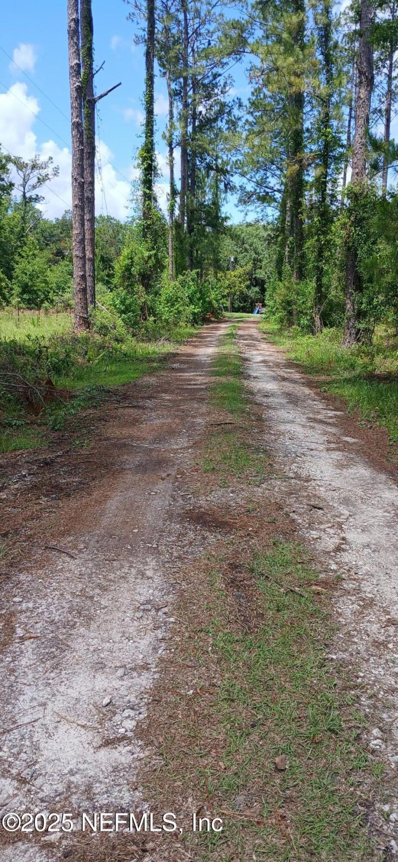 2995 Thunder Road, Middleburg, FL 32068 Photo