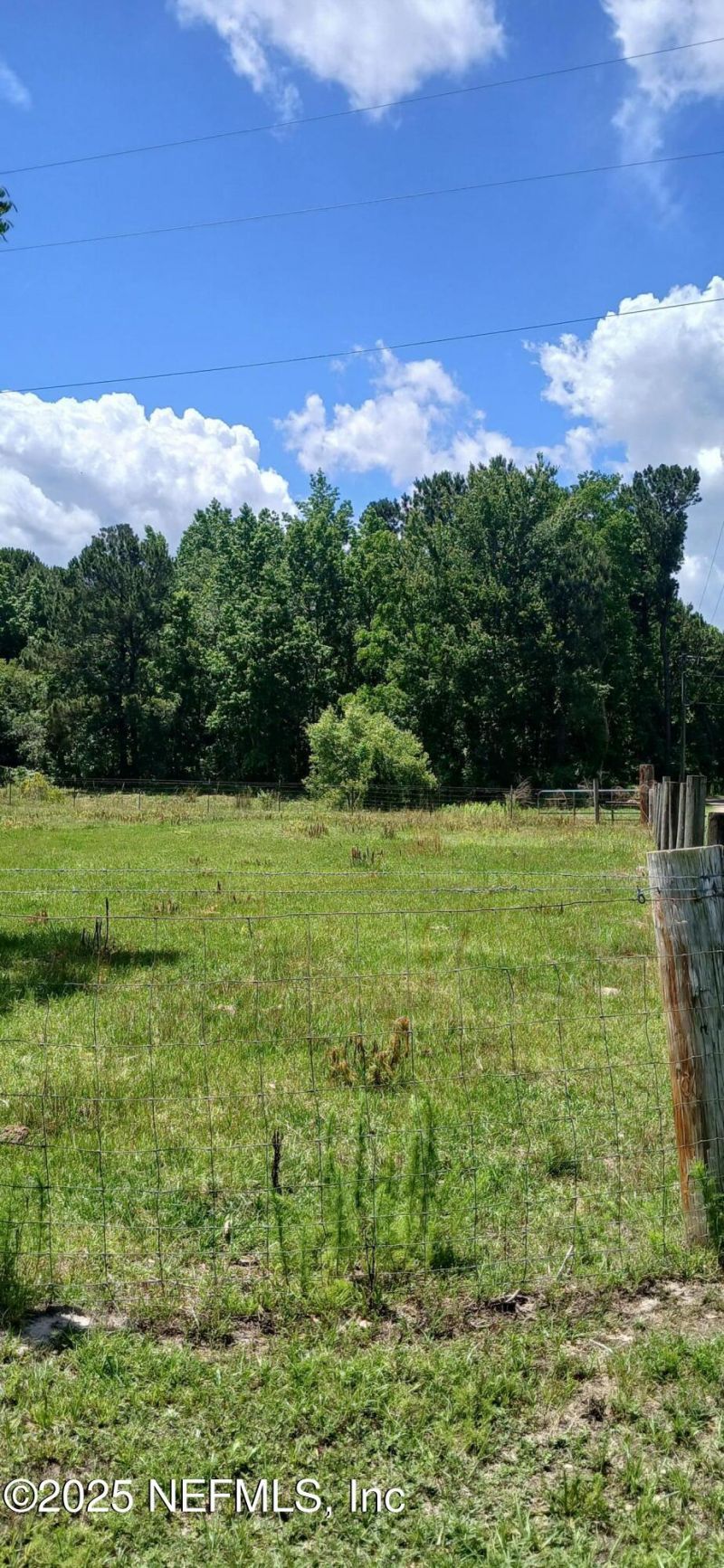 2995 Thunder Road, Middleburg, FL 32068 Photo